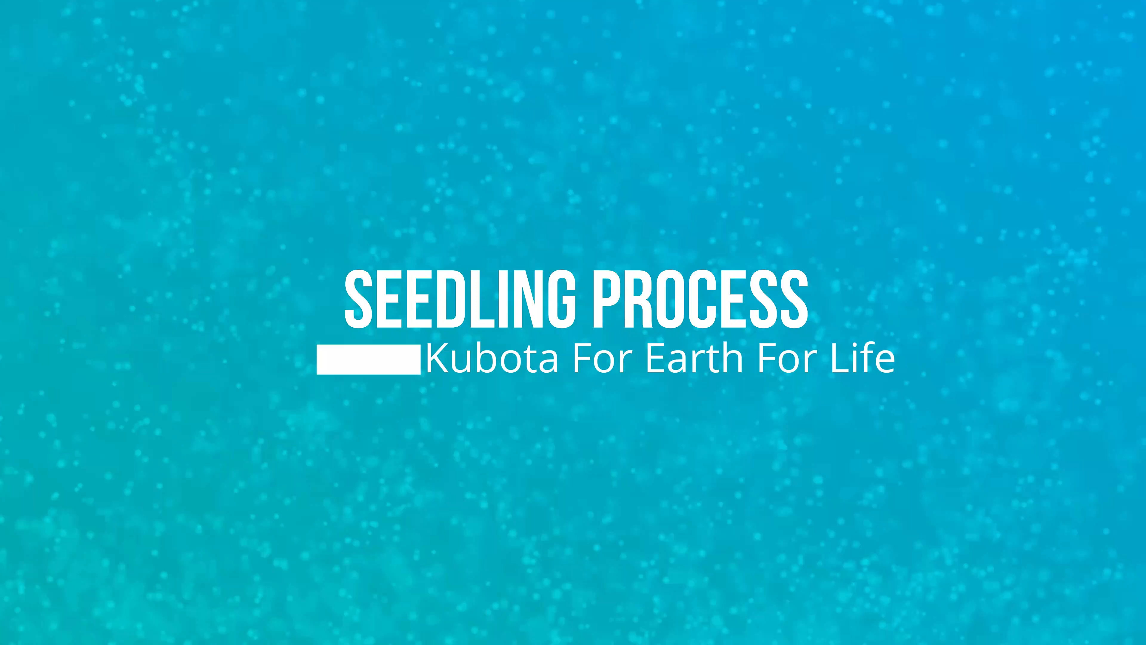 (video thumbnail) Seedling process